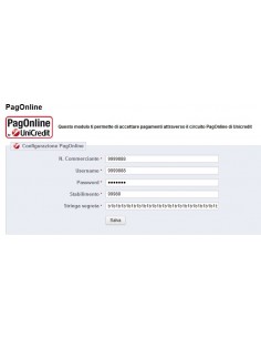 PagOnline Carte - Strumento... 2